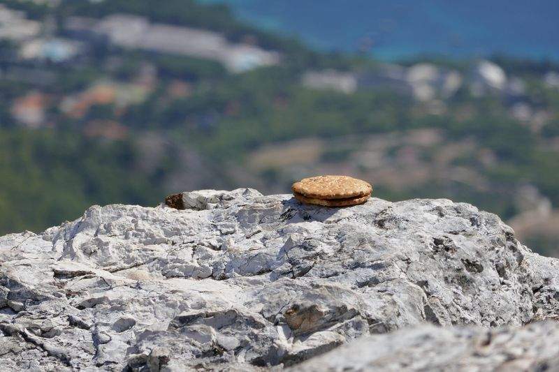 Feiertage Spezialisten GmbH - Image 7